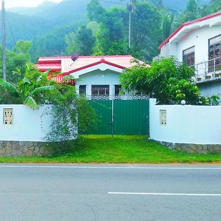 Mount View Family Rest & Cottage هابيوتيل المظهر الخارجي الصورة