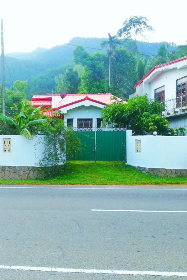 Mount View Family Rest & Cottage هابيوتيل المظهر الخارجي الصورة