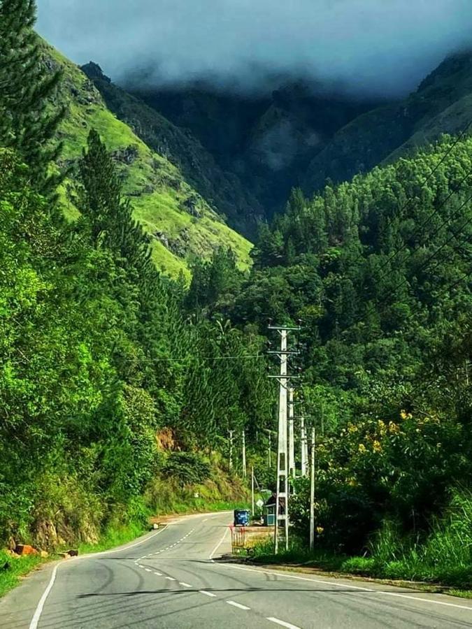 Mount View Family Rest & Cottage هابيوتيل المظهر الخارجي الصورة