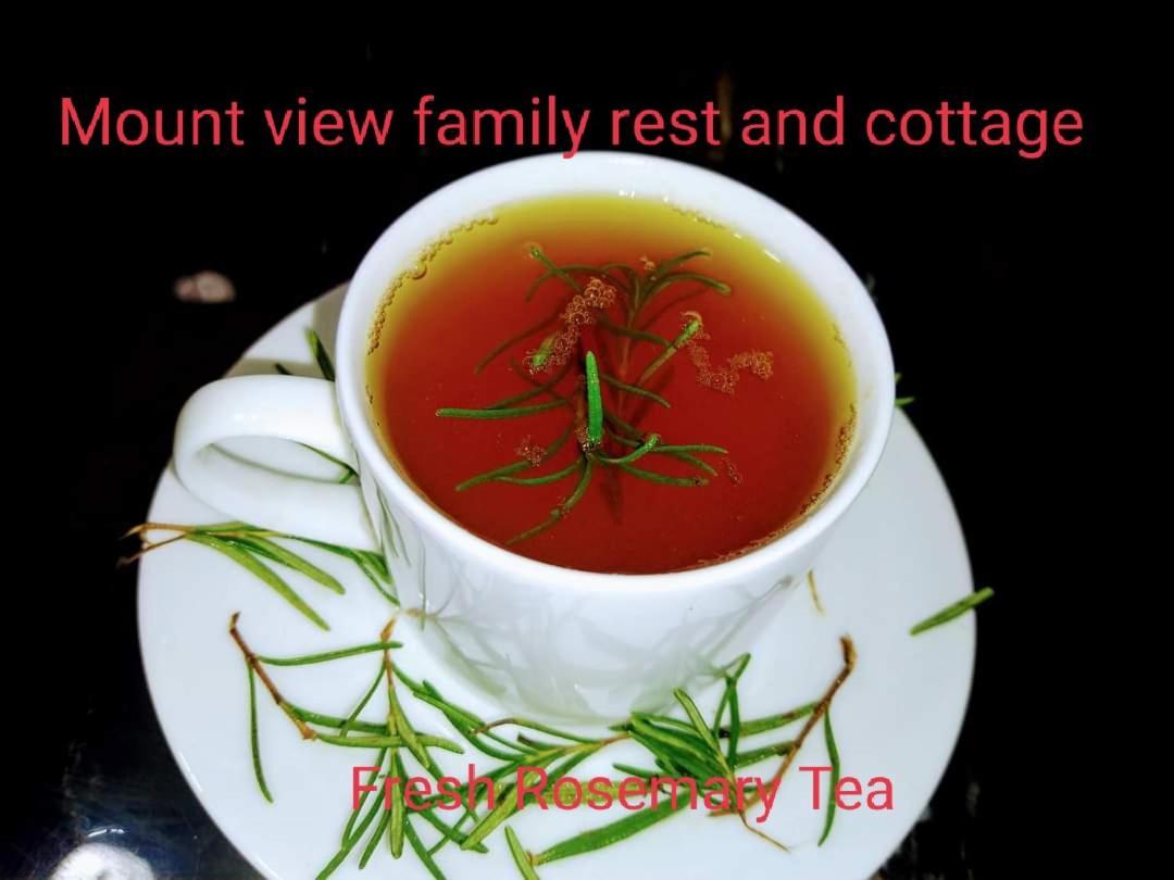 Mount View Family Rest & Cottage هابيوتيل المظهر الخارجي الصورة