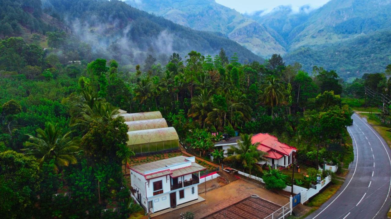 Mount View Family Rest & Cottage هابيوتيل المظهر الخارجي الصورة